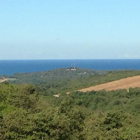 Bellavista *