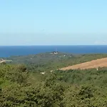 Bellavista *